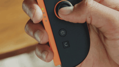 Nintendo Switch 2 C Button