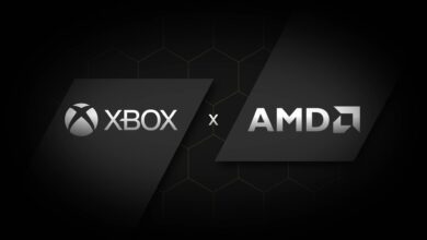 xbox amd microsoft