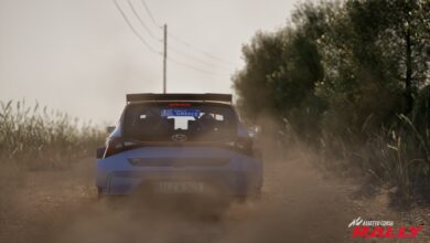 Assetto Corsa Rally